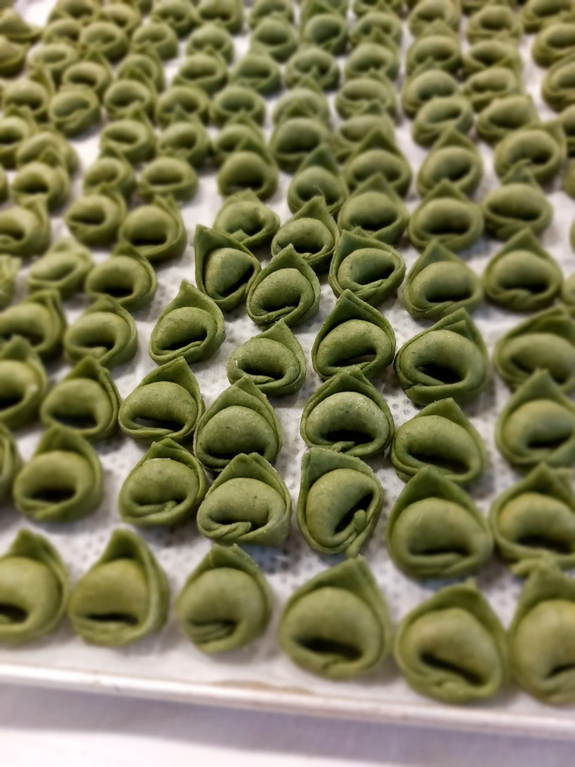 Pasta verde ripiena in lavorazione